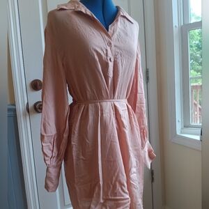 Alex Marie Blush Long Sleeve Dress